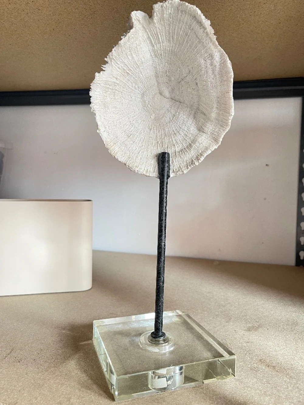 Restoration Hardware Ivory Coral Sculpture on Lucite Stand